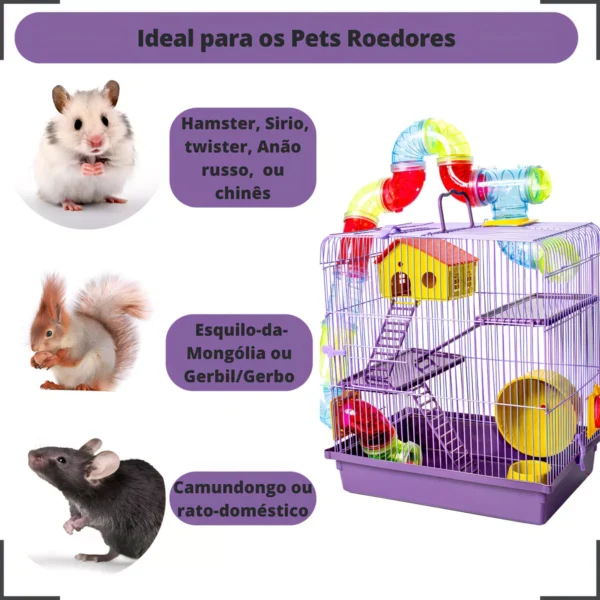 Gaiola Hamster 3 Andares Luxo - Image 2